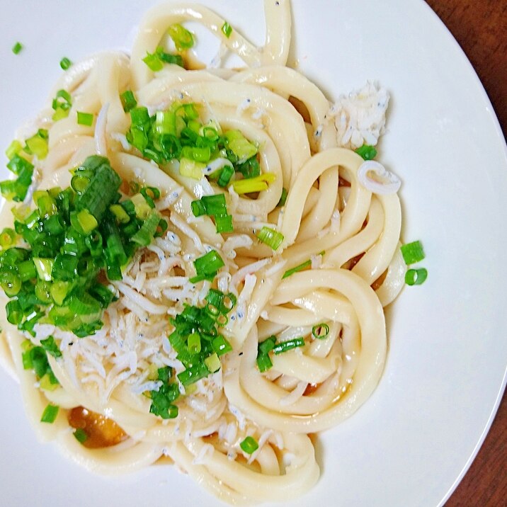 生うどんで★しらすうどん★